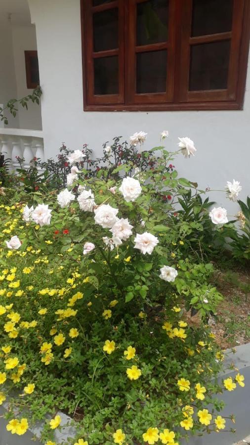 Ogumka, Self Catering , Beoliere, Mahe 호텔 빅토리아 외부 사진